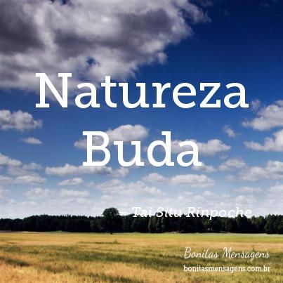 Natureza Buda